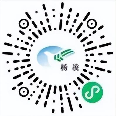 耶！杨凌！
