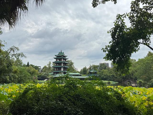 桂湖公园