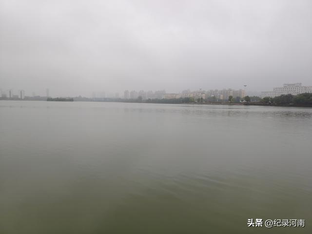 七上八下全国文明城市柘城县迎来汛期，晨练国家湿地公园榕湖发现