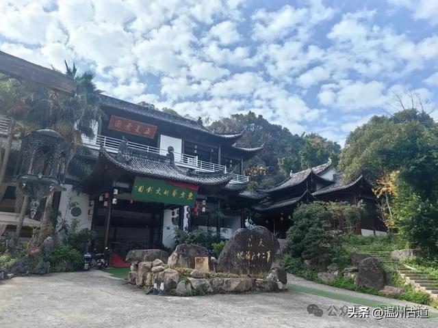 一树金黄，满城风雅！温州这棵著名的古寺银杏再不去就要落叶了