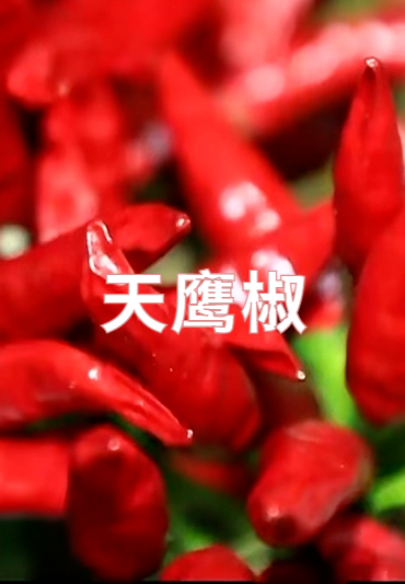 9月14日来宝坻，邂逅“津农精品”，品味地道农味！
