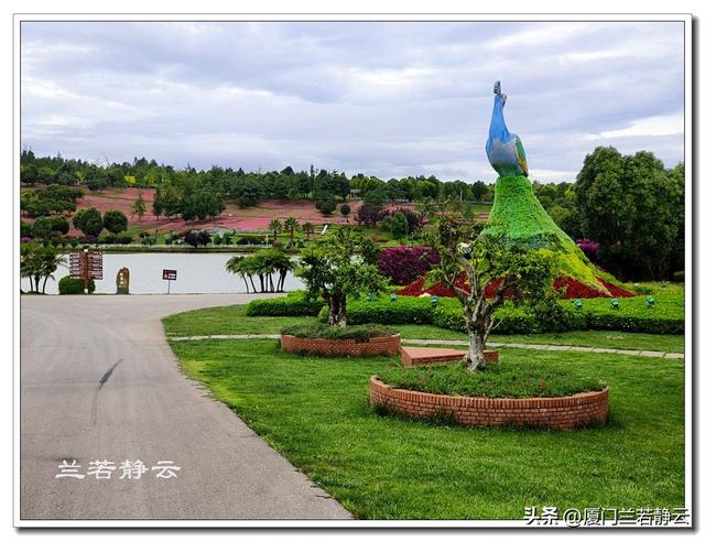 云南弥勒：太平湖森林公园的大地艺术作品
