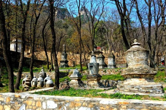 秋日必冲！千年银杏+层林秋景，还有《智取华山》取景地