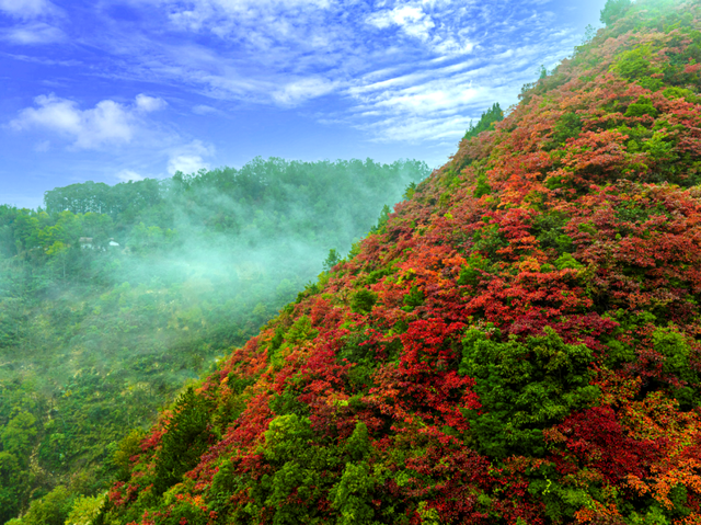 接下来的一个月，来汉中赏红叶就对了