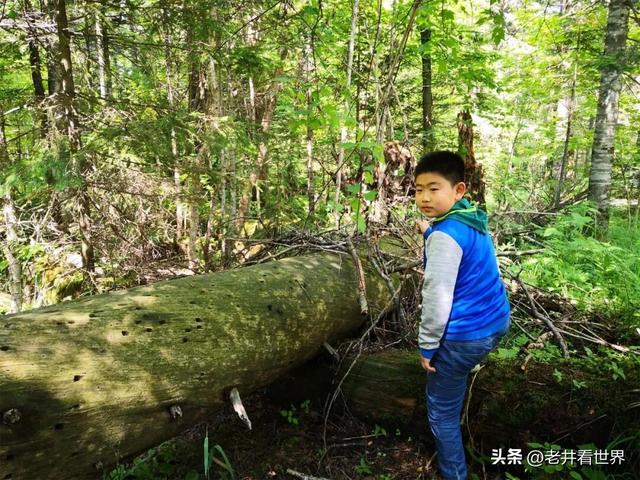 夏日闯关东（五） 天池圣水 ||井明新