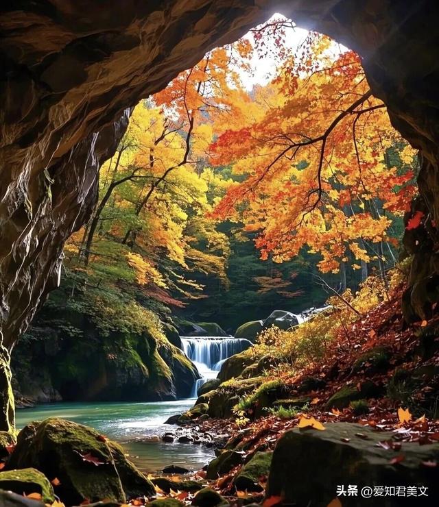 秋之雅趣，美不可言