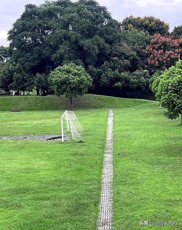 成都公园难得一见的旷野之景，画面超级唯美，地铁公交到达！