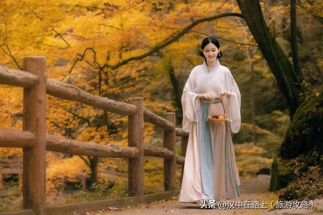 免票！半价！汉中这处红叶​绝佳观赏期已至，周末快冲！