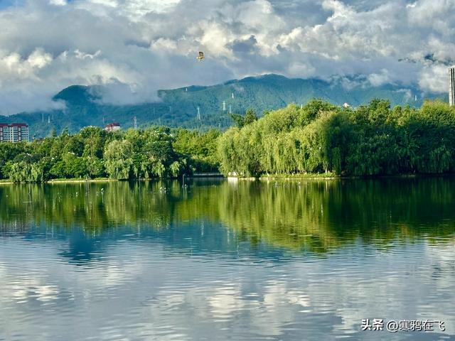无暑之地（4）临沧 普洱