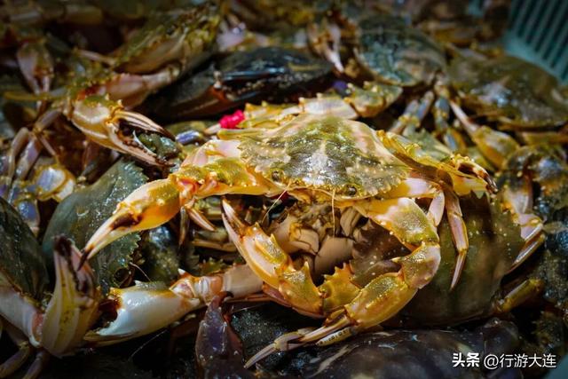 大连冬天有什么好玩的？这条地铁线全搞定！