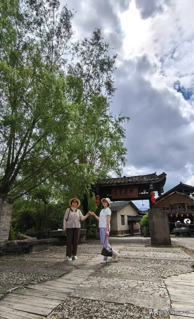 2025 凉雾之夏