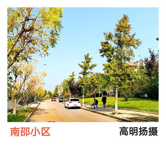 一叶落地，秋天到了，昌平秋色美。