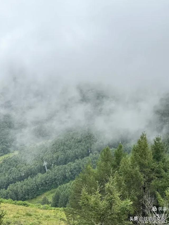 牛树江||云雾山顶的隔空投送
