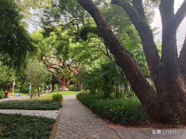 桦加沙到来前的北海之行，从中山公园开启
