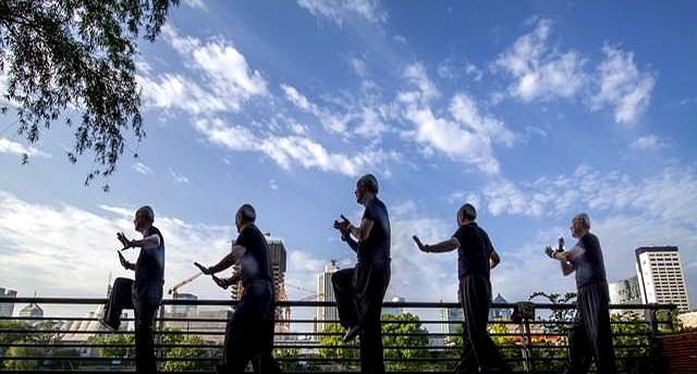 杨式太极拳动作要领：内劲导引方式以及打击——除此与太极拳无关