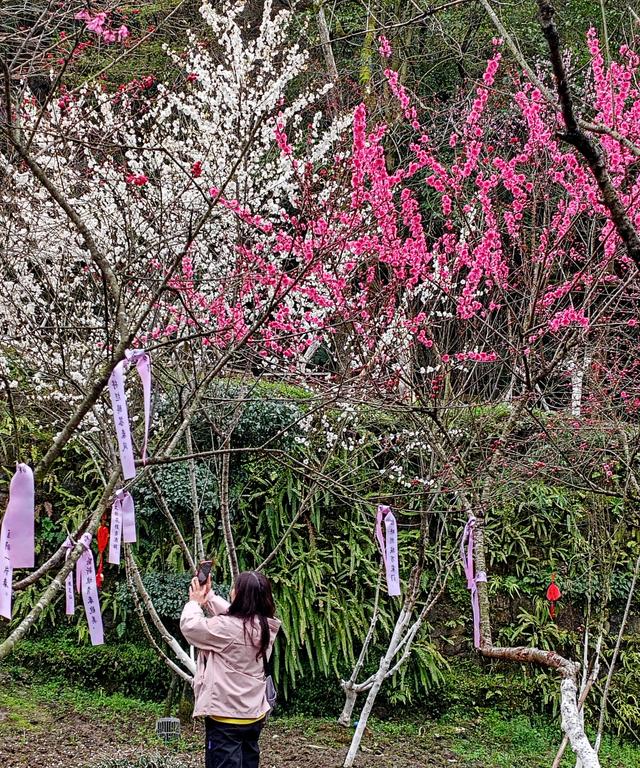 重庆酉阳桃花源，必须点赞！