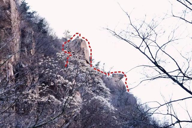 崂山这块石头火了！来崂山——“马”上好运！