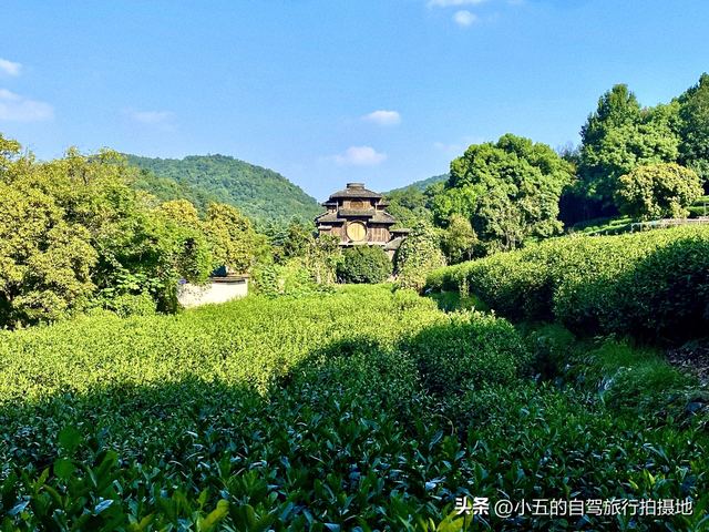 杭州满觉陇暴走攻略：秋天的第一口桂花香，从鼻子到舌尖全沦陷！