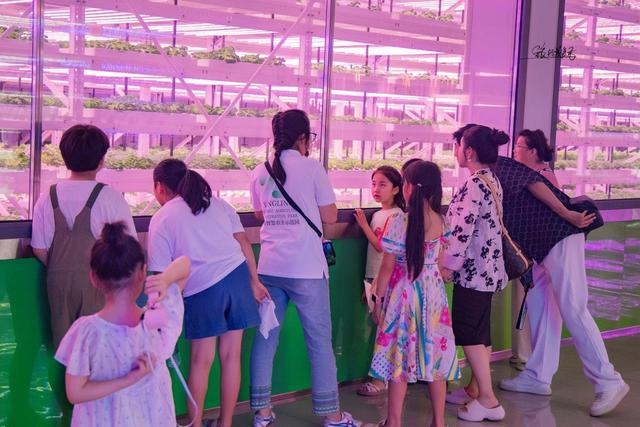 两天一夜，“杨凌种未来，童心探自然”亲子研学之旅