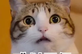 一个喷嚏引发严重脑梗，原因竟是“小心眼”图片