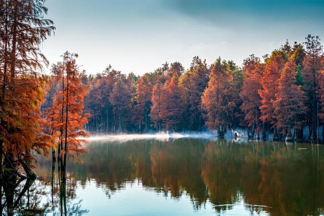 这座我去了又去的江南小城，魅力实在太大了