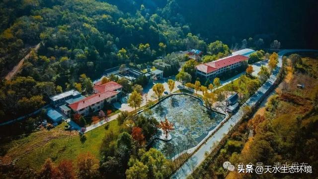 大美天水 | 一键收藏！清水的“多巴胺”配色