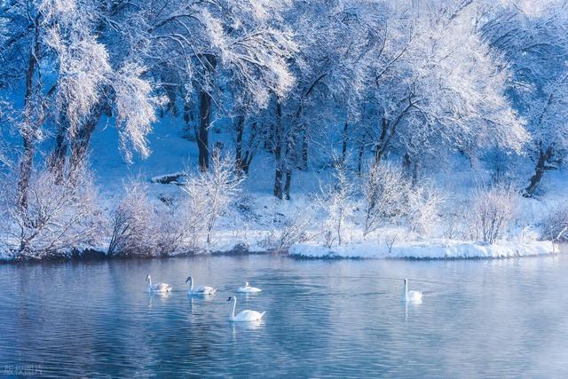 冬季旅行适合去的6个目的地，12月-2月，去看童话般的纯净雪景