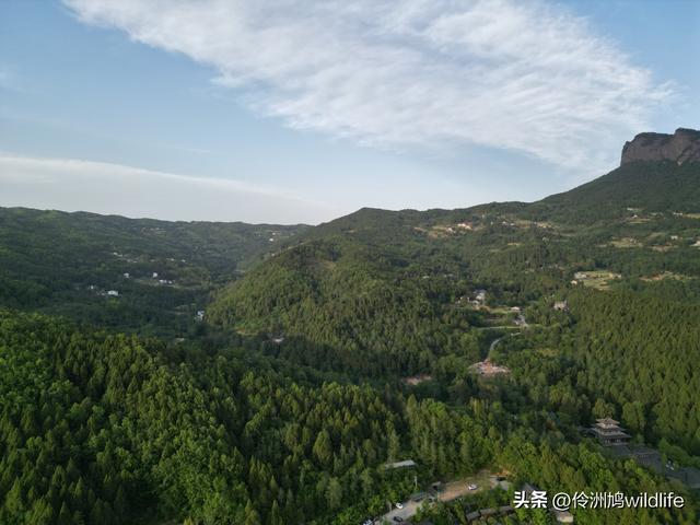四川行(68)古蜀道——金牛道60公里徒步⑤普安到翠云廊沿途航拍