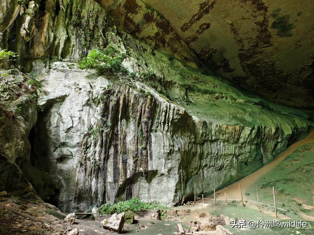 马来西亚(32)砂拉越州⑥世界遗产尼亚洞窟探险