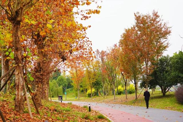 冬崃｜在泉水湖湿地公园，收藏整个冬天的浪漫与生机~