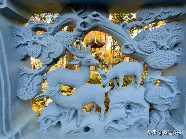 沪上园林古猗园已达颜值巅峰