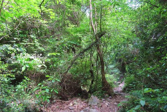 浙江宁波的绝秘幽谷，山石险峻景色绝美，是徒步与观景的绝佳之地