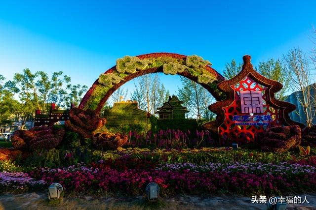 北京花展爆火！35万人挤爆CBD花海