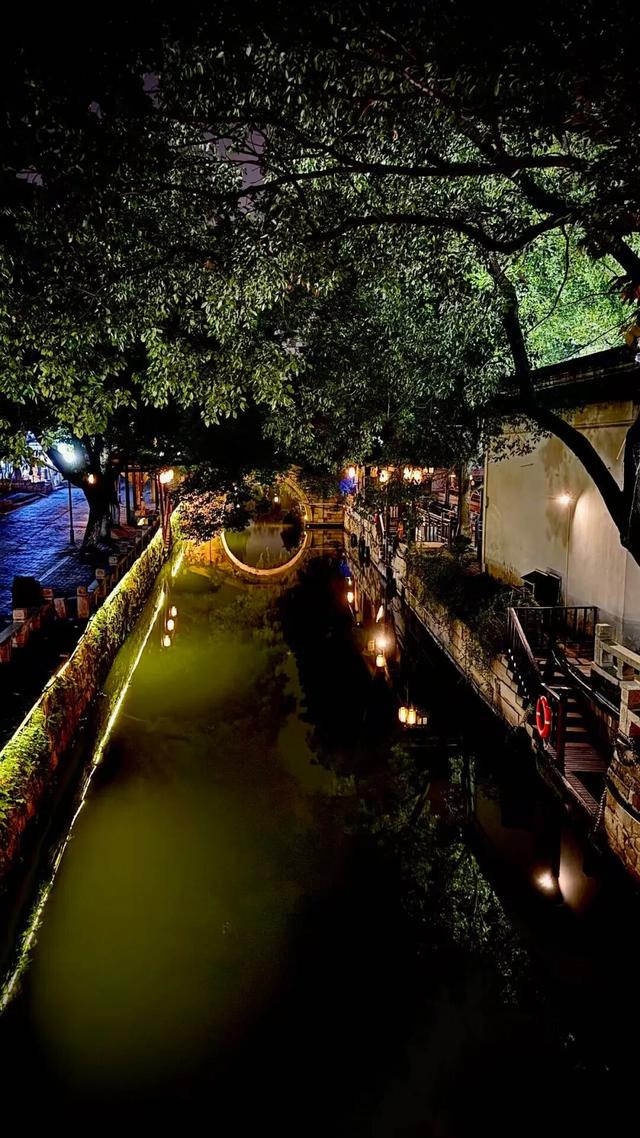 你一声秋不晚，我便到了真江南｜姑苏寻秋