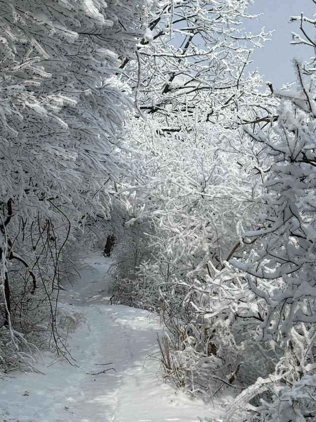 首遇云台山的雪凇美景