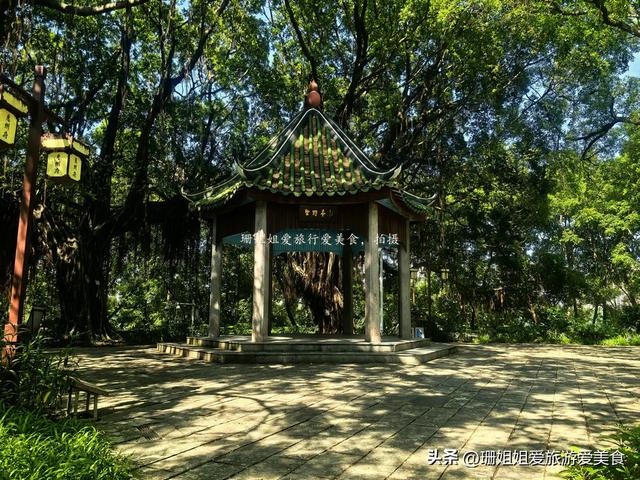 惠州古城的千年老街，密集分布历史建筑和遗址，易被游客“忽略”
