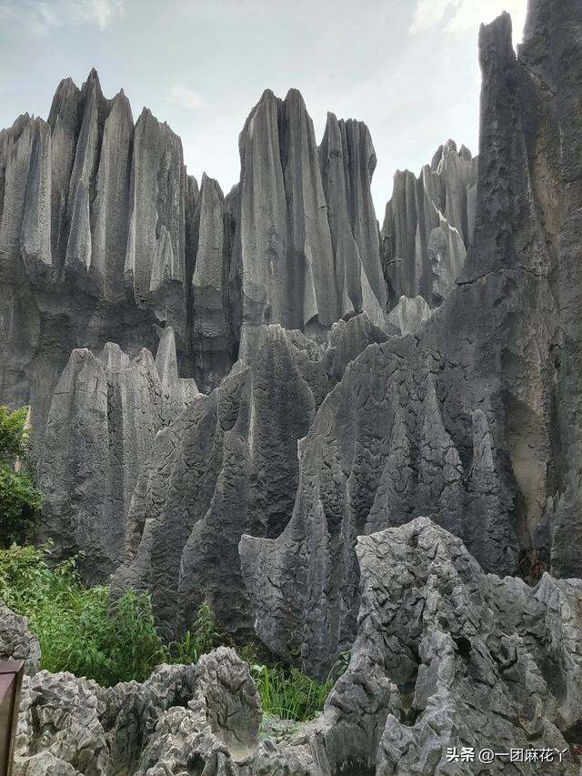 游昆明石林