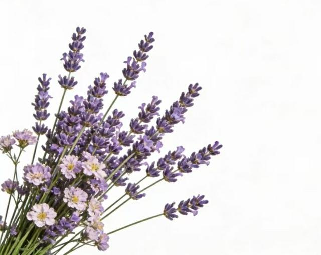 人间烟火，岁岁年年