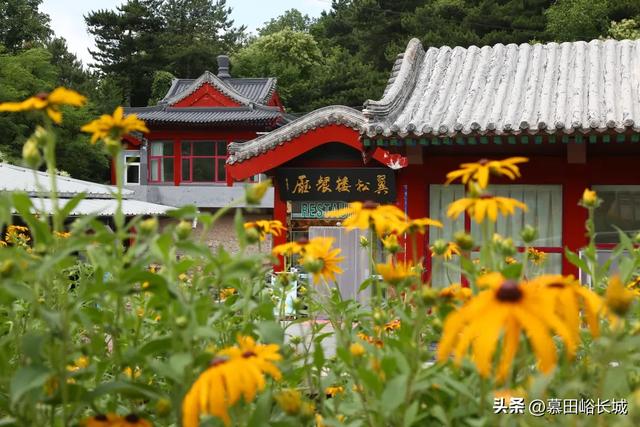 暑期慕田峪长城亲子游：以陪伴之名 赴长城之约 福利嗨不停