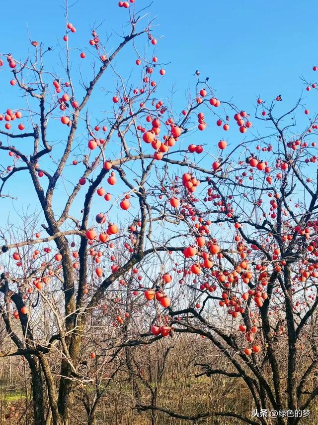 都说寻梦是水中捞月的徒劳,可我们还是喜欢去追寻梦中的当年。