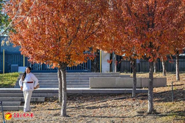 收藏！乌鲁木齐秋日Citywalk好去处，这几个新公园必逛