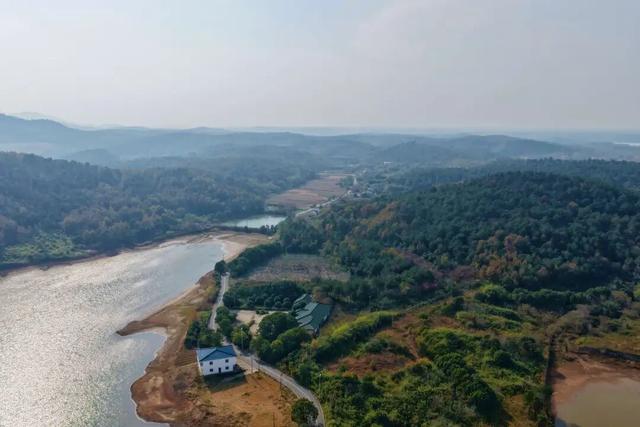 荣炳：乡村冬韵浓 美景入画来