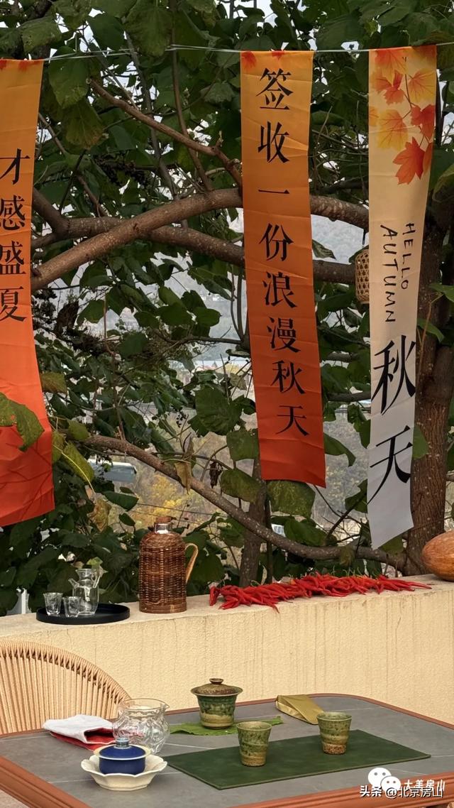 橙黄橘绿满山野,这场“捡秋”之旅别错过!