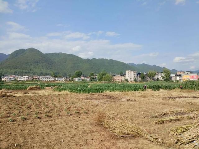 从河堰到农坝，经由云（阳）开（州）边界