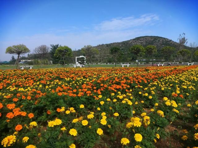 跟着孔子文化节游济宁丨传承千年文脉，品味烟火人间——济宁文旅美食旅游线路来啦