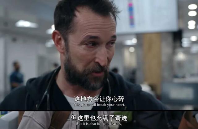 剧荒了？别担心，来看这些8.0+的高分剧！