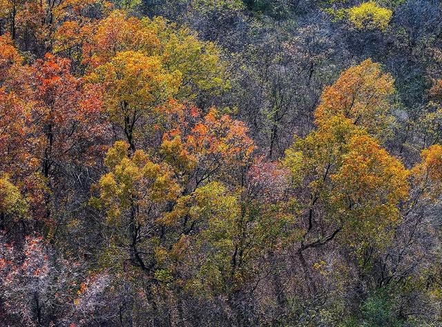 免费打卡明光女山,人少景美超级治愈~