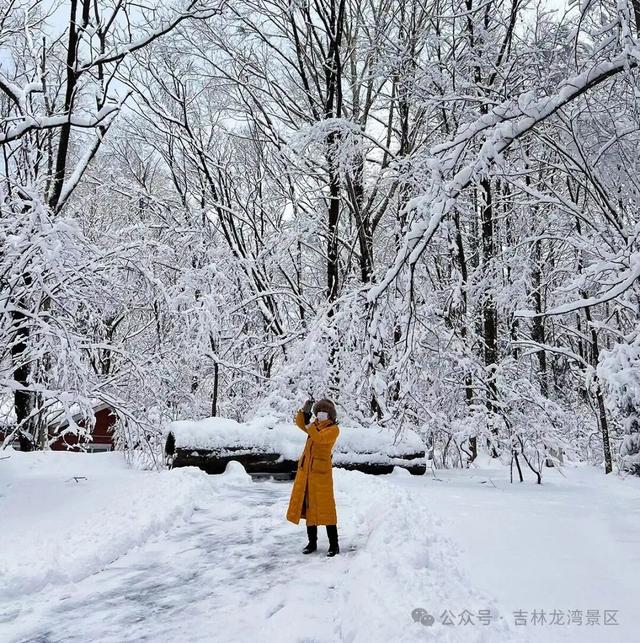告别金秋，邂逅龙湾初冬！赏雪、观雾凇攻略，这两处景区别错过~