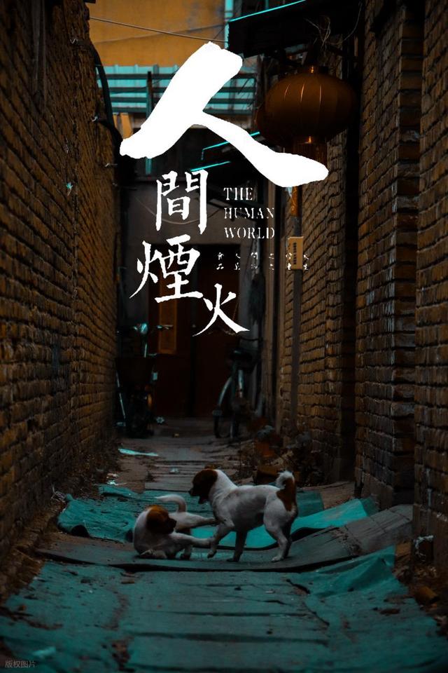 霸离铺：一场跨越时光的邂逅