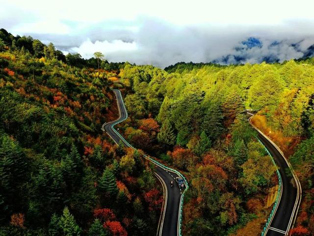 免票！5折！2025秋假大礼包特惠来啦！多重惊喜等你解锁→